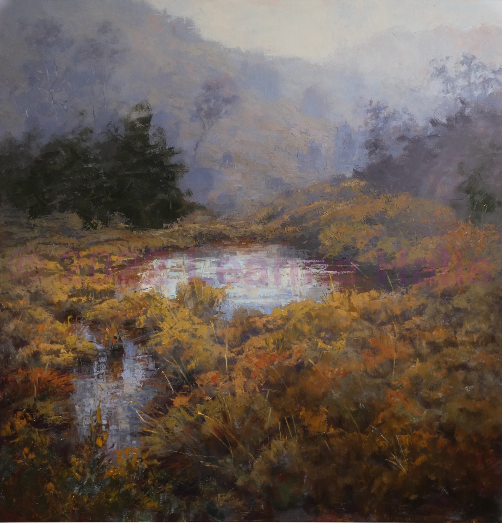 New Exhibition Paintings - Tarn Reflections